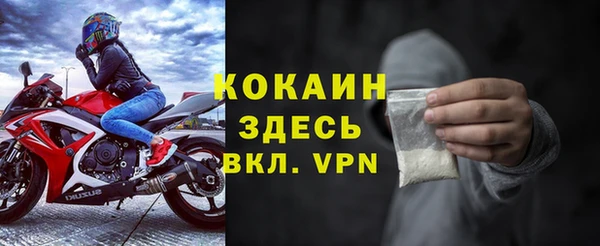 МДПВ Бородино