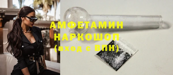 МДПВ Бородино