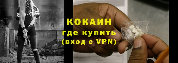 дурь Бронницы