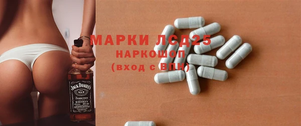 МДПВ Бородино