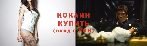 МДПВ Бородино