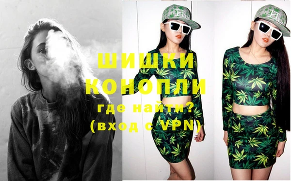 МДПВ Бородино