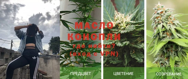 МДПВ Бородино